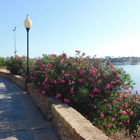Lejlighed Playamarina I